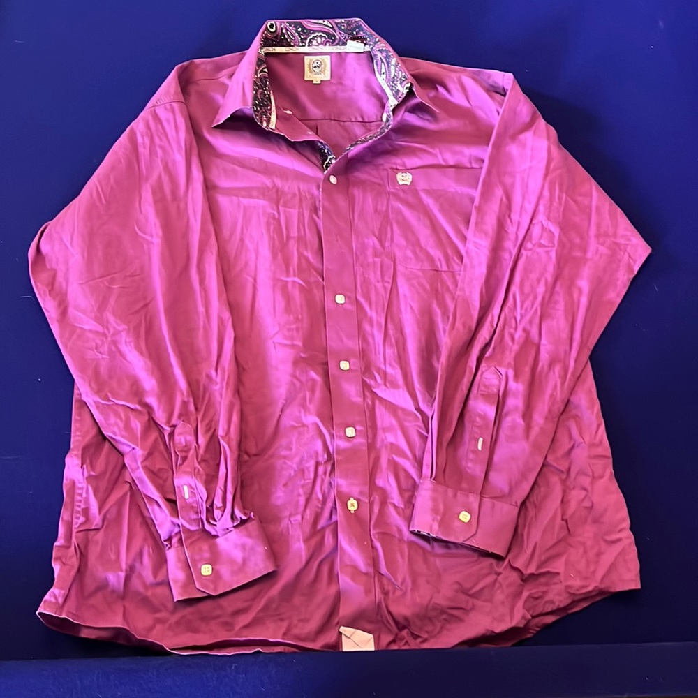 Cinch Dress Shirt